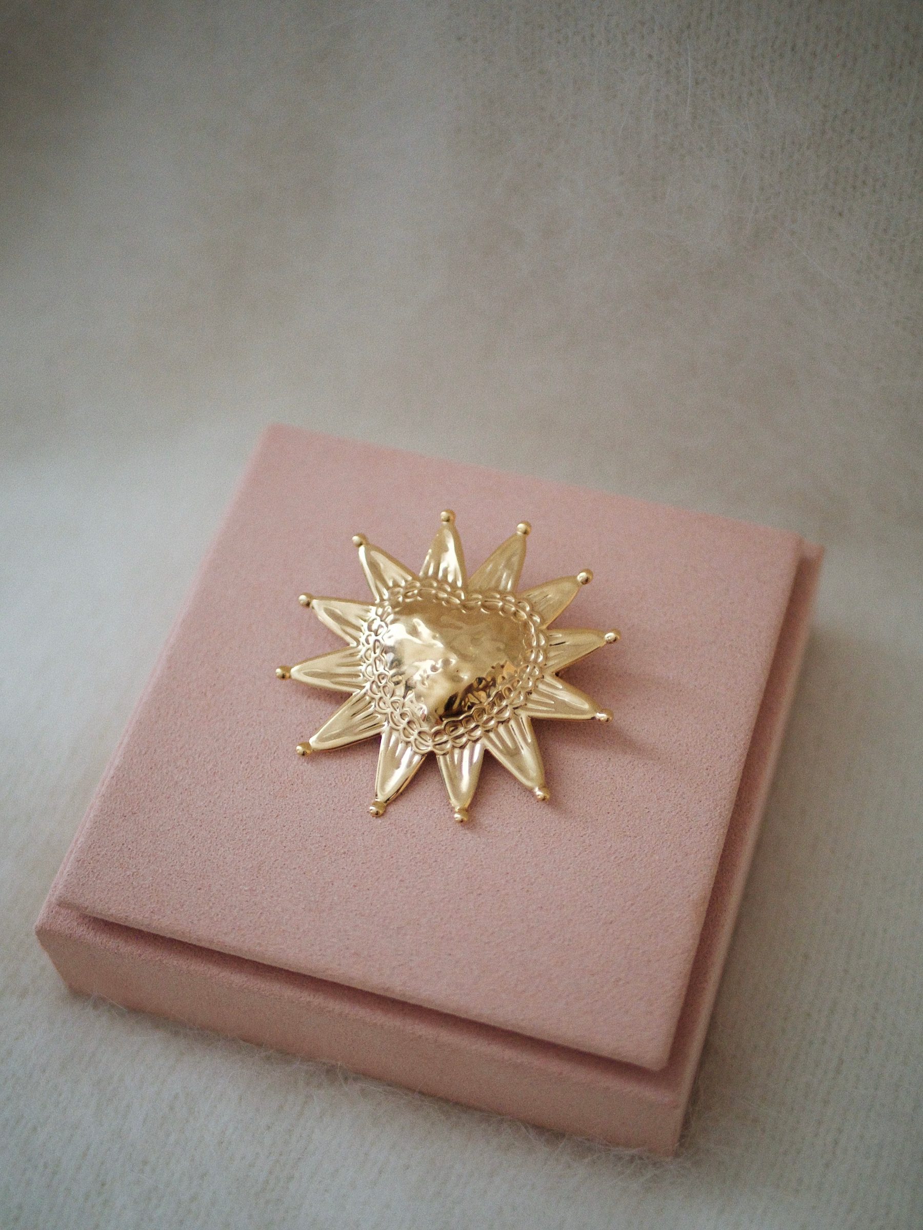 Broche Clove 2