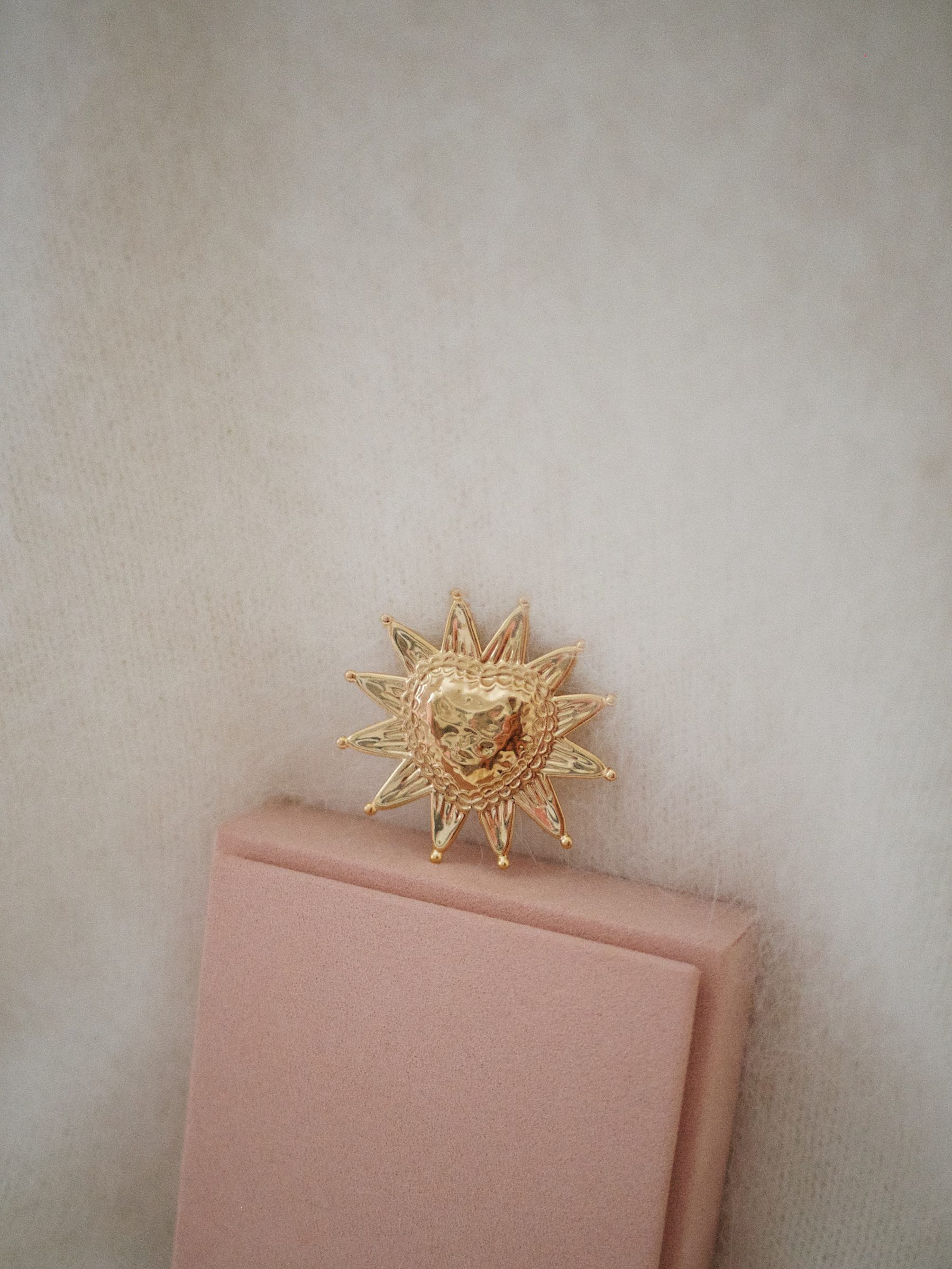 Broche Clove 4 Broche Clove 4